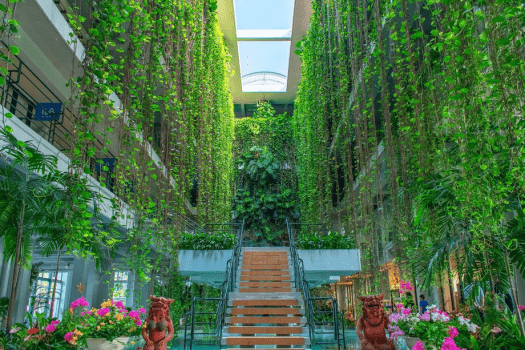 ザ・ムーンビーチ　ミュージアムリゾート 【早割】60日前までのご予約におすすめ／ワンランク上のステイ＜クラブサービス・朝食付き＞（DP）