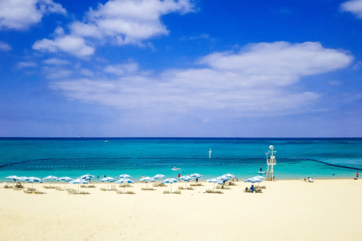 ザ・ムーンビーチ　ミュージアムリゾート 【早割】14日前までのご予約におすすめ(食事なし）（DP）