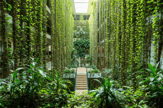 ザ・ムーンビーチ　ミュージアムリゾート 【早割】60日前までのご予約におすすめ／ワンランク上のステイ＜クラブサービス・朝食付き＞（DP）