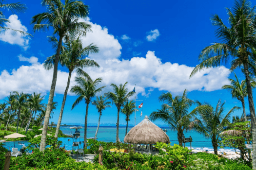 ザ・ムーンビーチ　ミュージアムリゾート 【早割】14日前までのご予約におすすめ／ワンランク上のステイ＜クラブサービス・朝食付き＞（DP）