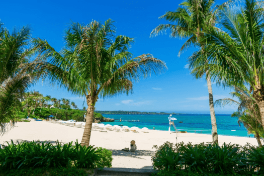 ザ・ムーンビーチ　ミュージアムリゾート 【早割】28日前までのご予約におすすめ(食事なし）（DP）