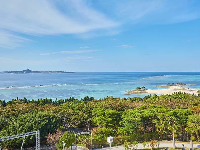 ロイヤルビューホテル美ら海 【シンプルプラン】ジンベエザメに会える！沖縄美ら海水族館まで徒歩5分（食事なし）