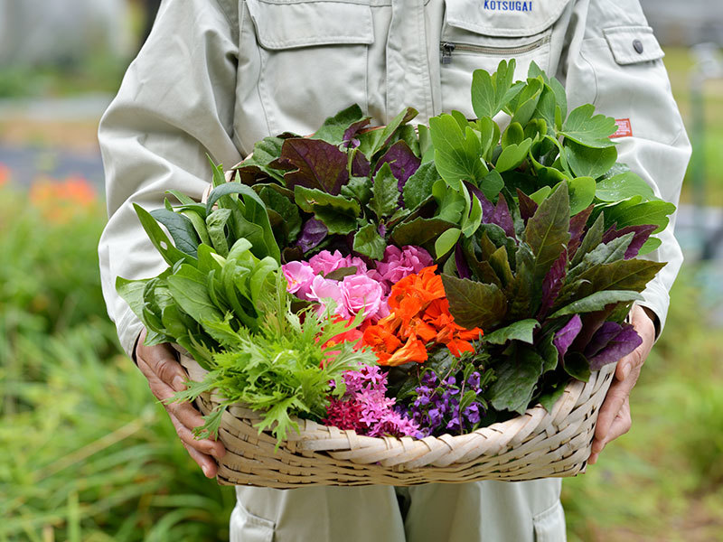ジ・アッタテラス クラブタワーズ 【ディナー付き】県産食材のコースディナー＜夕朝食付き＞