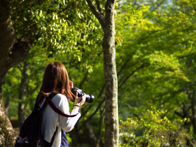ココ ガーデンリゾート オキナワ 【最大24時間・12時IN/12時OUT】コラーゲンスイーツ付<ClubCoCo対象外>