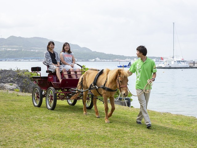 マリンピアザオキナワ  【家族旅行決定版】島豚しゃぶしゃぶにお子様も喜ぶ手巻き寿司♪添い寝幼児のお子様にもチャレンジクーポンプレゼント！<2食付>◎