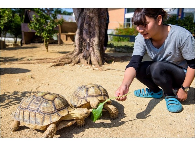 マリンピアザオキナワ  【親子で学ぶ、どうぶつごはん体験】もとぶ元気村だけの自然体験・チャレンジクーポン2倍付！＜朝食付＞