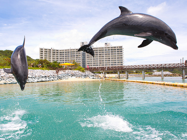 ルネッサンス リゾート オキナワ 【飛行機とセットでお得】期間限定ルネッサンスステイ！連泊で増える特典付