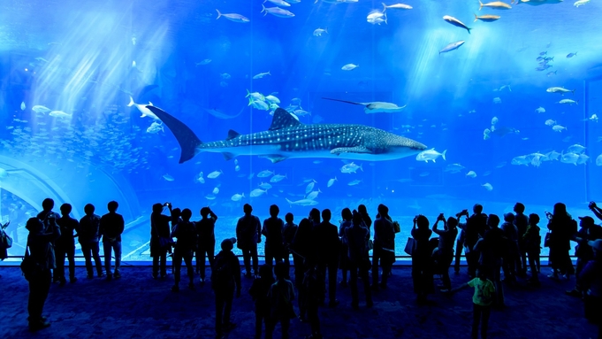 ウィステリアコンドミニアムリゾート 沖縄の海を丸ごと体験!イルカショーも楽しめる「沖縄美ら海水族館」はホテルから徒歩約10分♪軽朝食付