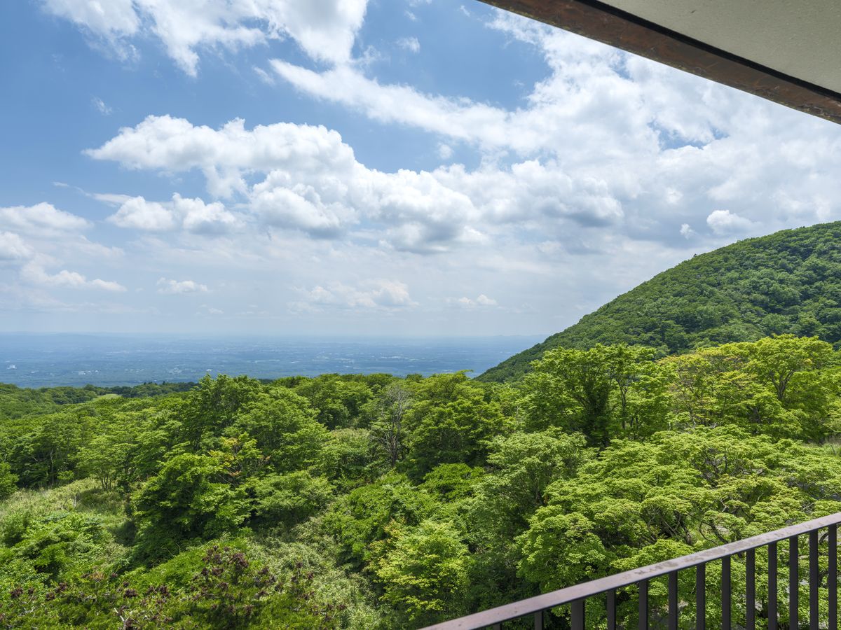 ほったらかしの宿 ゆうふり那須高雄温泉 【禁煙】アクセシブル