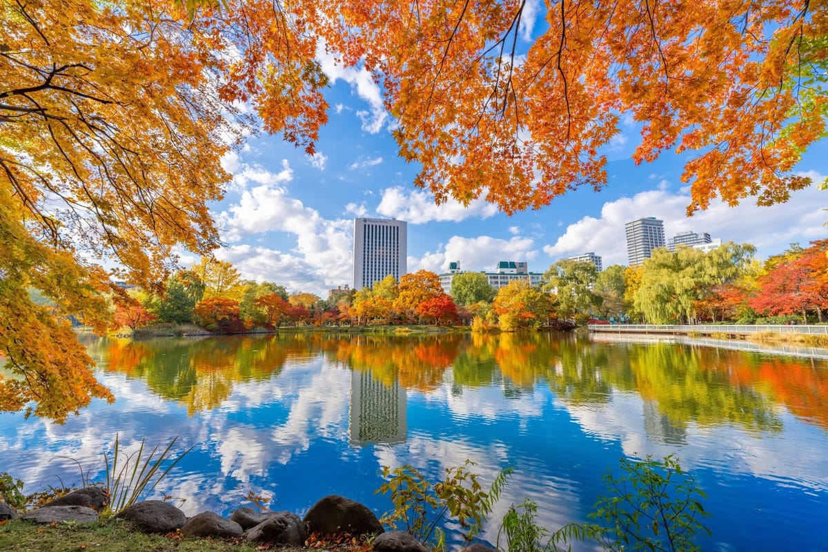 プレミアホテル中島公園札幌 迷ったらコレ！◇価格重視のシンプルステイ◇／朝食なし
