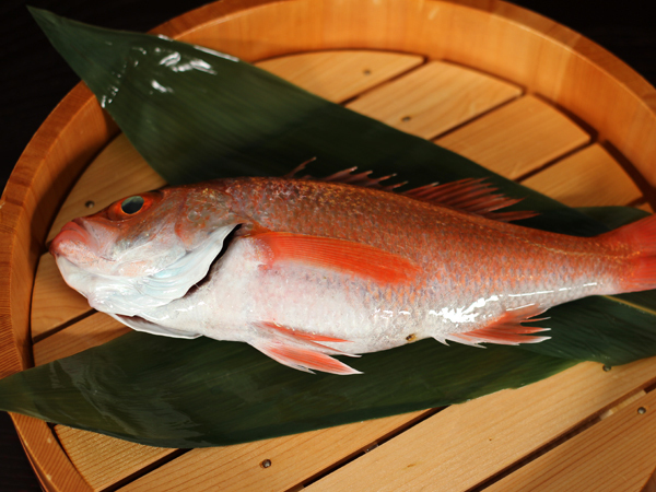 宇奈月温泉　延楽 【延楽流・食の寶】料理長こだわりの「のど黒会席」　お部屋食または個室食事処 