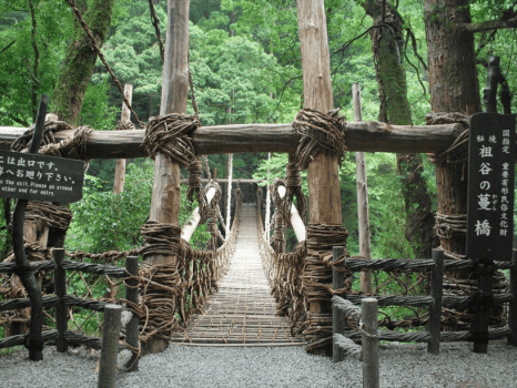 新祖谷温泉ホテルかずら橋 【秘境を満喫！祖谷のかずら橋＆妖怪屋敷＆大歩危舟下りチケット付】大歩危祖谷お楽しみプラン
