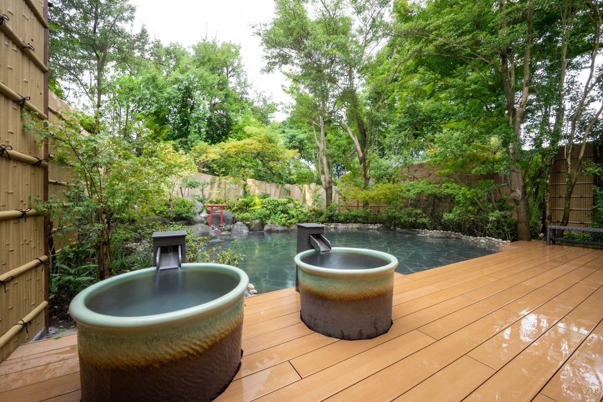 ザ・パルス霧島 【事前予約30】 30日前のご予約でお得な温泉ステイ 《 ビュッフェ朝食付 》