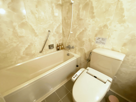 曲水の庭 ホテル玉泉 洋室デラックスツイン【温泉街側】