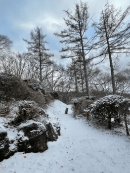 露天風呂のオーベルジュ つつじとかえで 【本館】テラス付ツインルーム