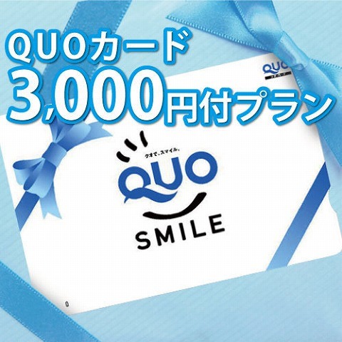 レフ熊本 by ベッセルホテルズ コンビニなどで使えるQUOカード3000円付プラン【素泊り】