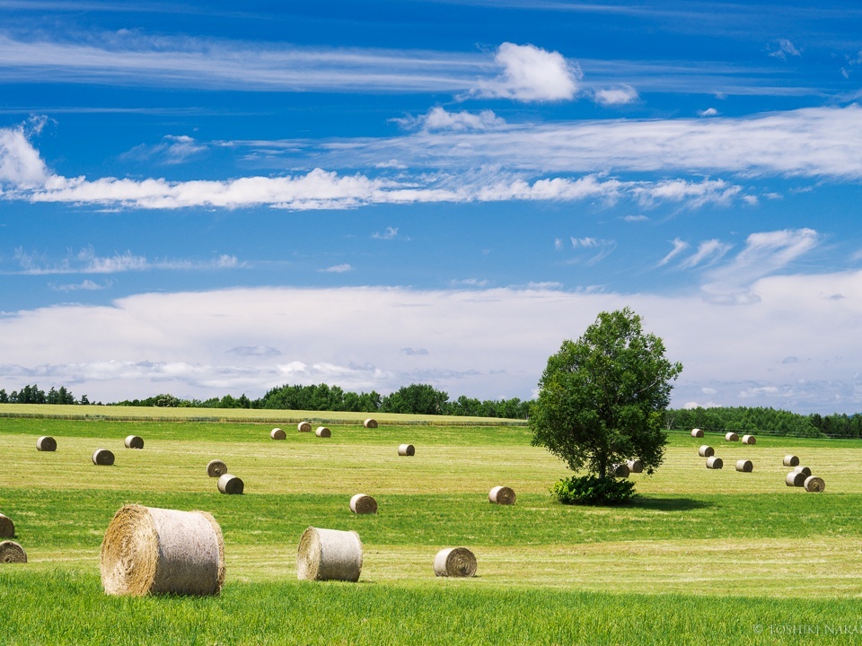 Nozo Hotel ◇2026年3月~◇Collect Moments◇富良野で集める旅の思い出◇スタンダードプラン◆素泊り