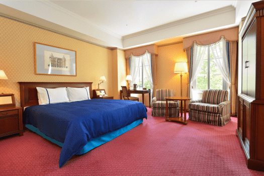 ホテルデンハーグ ハウステンボス スーペリアキング（1～2名）