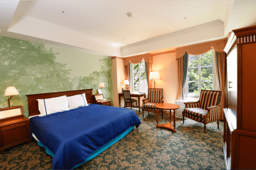 ホテルデンハーグ ハウステンボス スーペリアキング（1～2名）