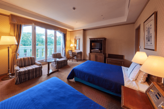 ホテルデンハーグ ハウステンボス スーペリアツイン（1～2名）