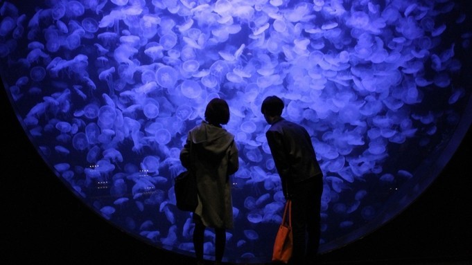 あつみ温泉・萬国屋 【加茂水族館チケット付】当館から車で30分■世界に誇るクラゲ水族館のチケット付きで入館ラクラク