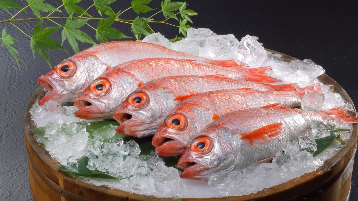 あつみ温泉・萬国屋 【お食事は個室確約】豪華な海の幸！のどぐろの煮付け＆活アワビを堪能♪贅を尽くしたお刺身九重