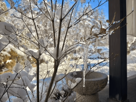 旅庵川喜 【素泊まり】「五感でととのう、信州の隠れ宿」～全5室の静けさに包まれた趣ある古民家ステイ～